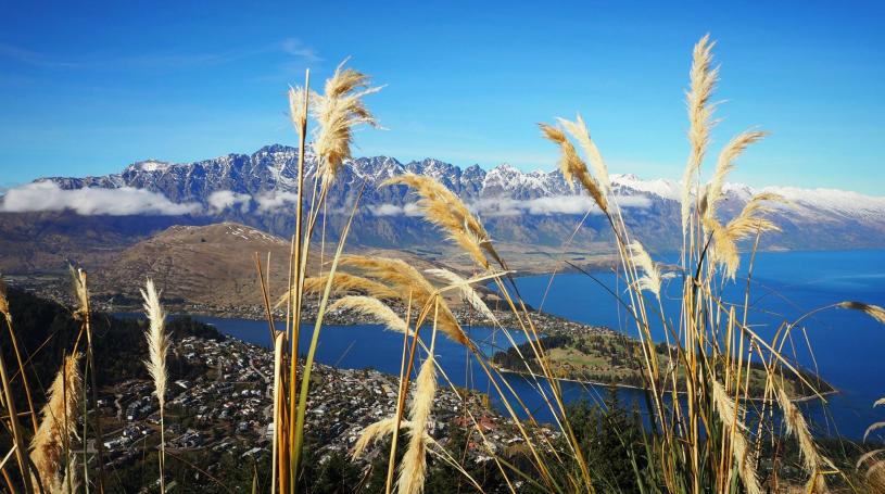 Investing in New Zealand - Issues and Opportunities